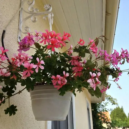 度假居 Countryside Living Near Amiens Paris 100m *