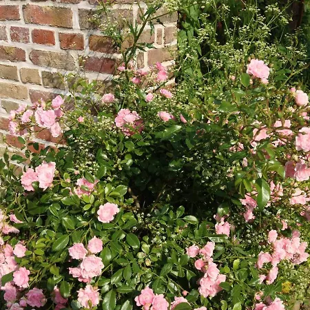 Countryside Living Near Amiens Paris 100m 度假居